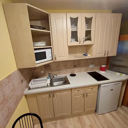 Arany Apartmanhaz 아파트 *